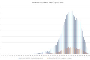 Dilema rodiča: Dať, či nedať zaočkovať dieťa proti COVID-19?